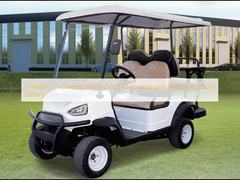 Dwuosobowe / 2+2osobowe Elektryczne wózki golfowe Bateria ołowiowo-kwasowa / Bateria litowa